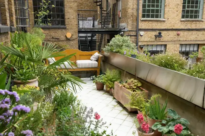 Image 11